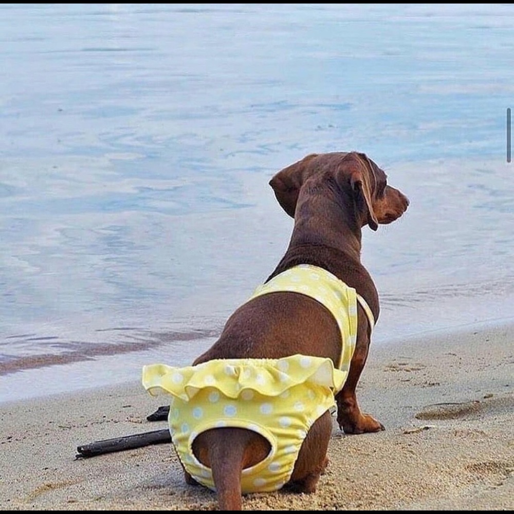 Meet your Posher, Hyesoo